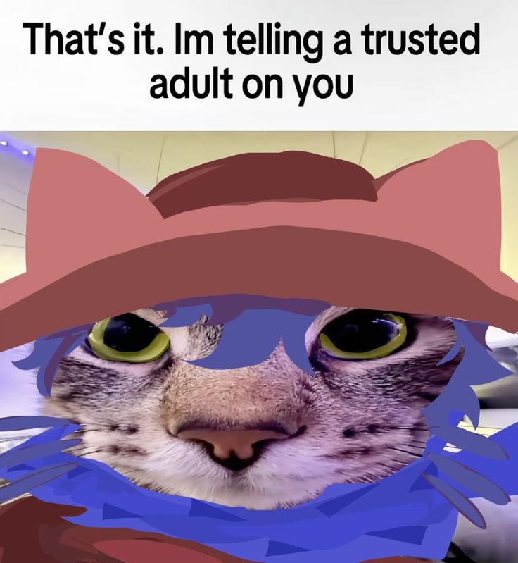 image died sads